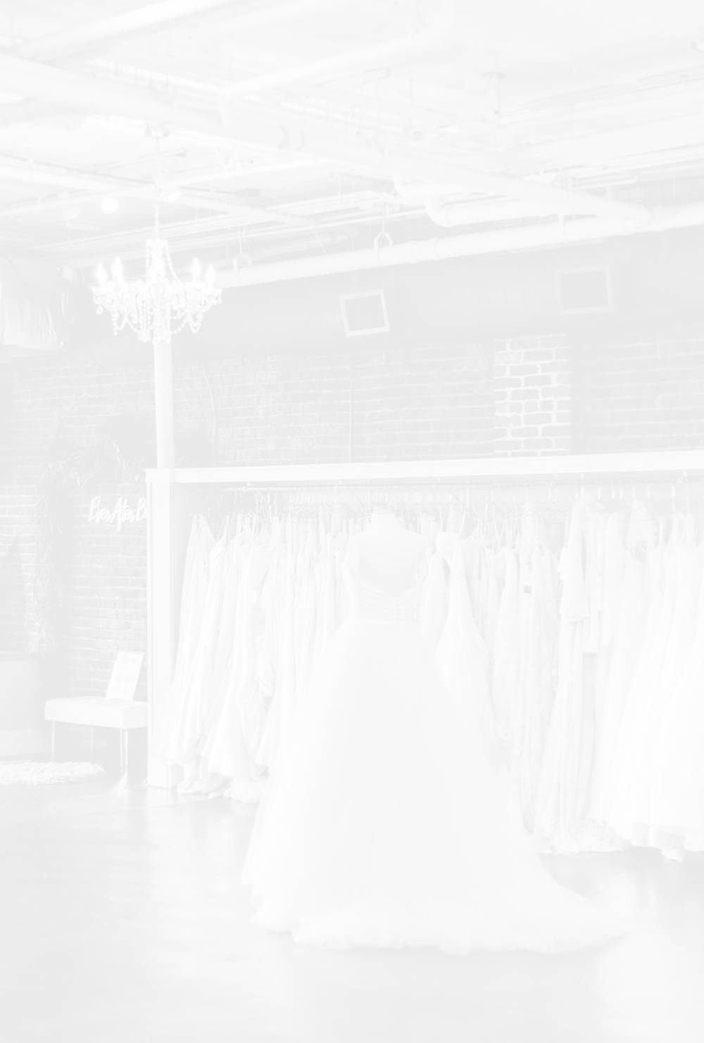 Featured Plus Sized Gowns background - Mobile Image